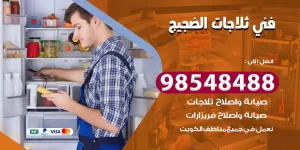 فني ثلاجات الضجيج