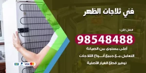 فني ثلاجات الظهر